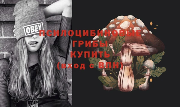 PSILOCYBIN Тихвин
