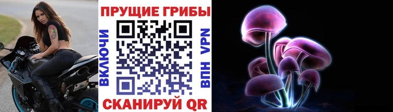 blacksprut tor  Горняк  Псилоцибиновые грибы Magic Shrooms 